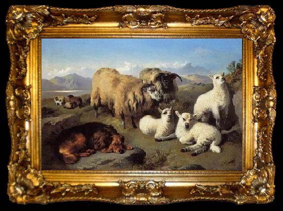 framed  unknow artist Sheep 191, ta009-2
